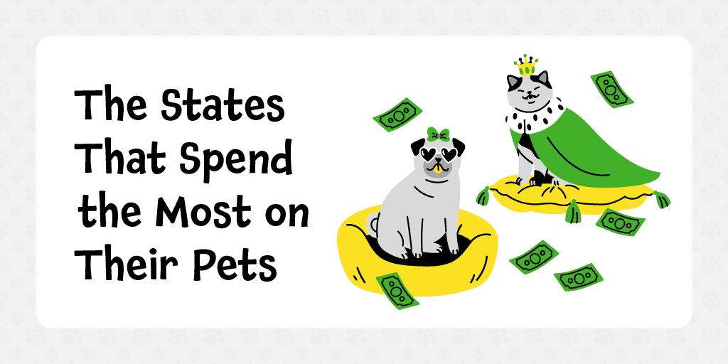 Title graphic for a blog about the states that spend the most on their pets
