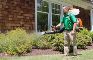 Learn more how to rid of mosquitoes! | Local Mosquito Control Company
